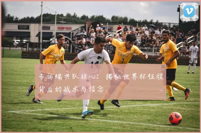 专访瑞典队核心:揭秘世界杯征程背后的战术与信念