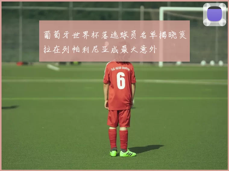 葡萄牙世界杯落选球员名单揭晓莫拉在列帕利尼亚成最大意外