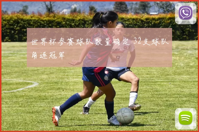 世界杯参赛球队数量确定 32支球队角逐冠军