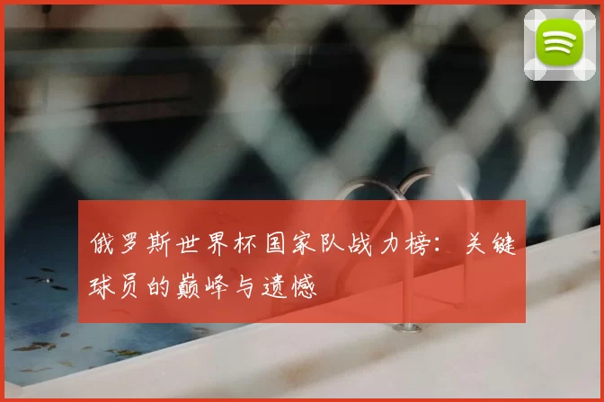 俄罗斯世界杯国家队战力榜：关键球员的巅峰与遗憾