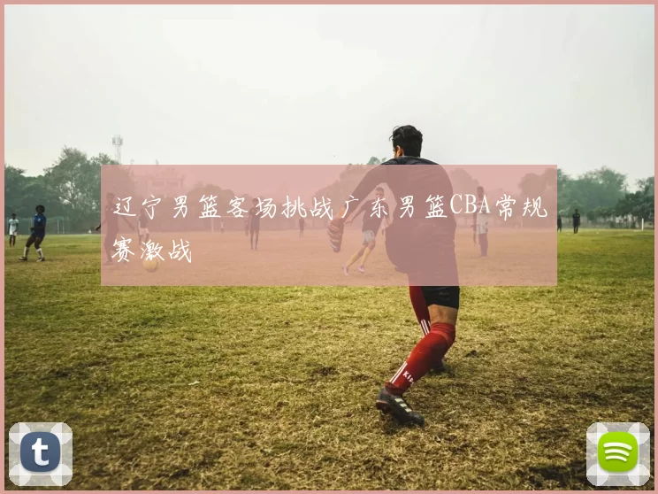 辽宁男篮客场挑战广东男篮CBA常规赛激战