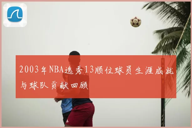 2003年NBA选秀13顺位球员生涯成就与球队贡献回顾