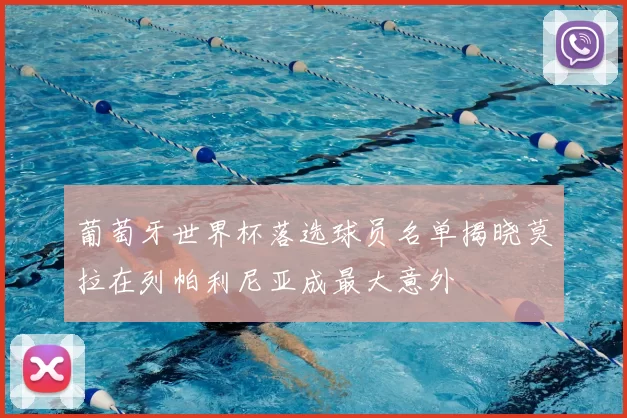葡萄牙世界杯落选球员名单揭晓莫拉在列帕利尼亚成最大意外