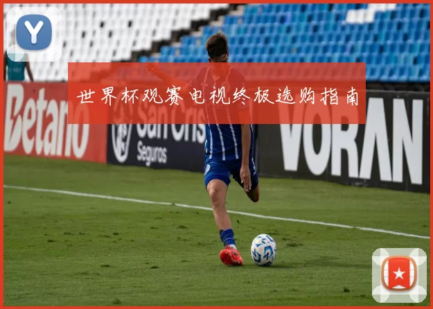 世界杯观赛电视终极选购指南