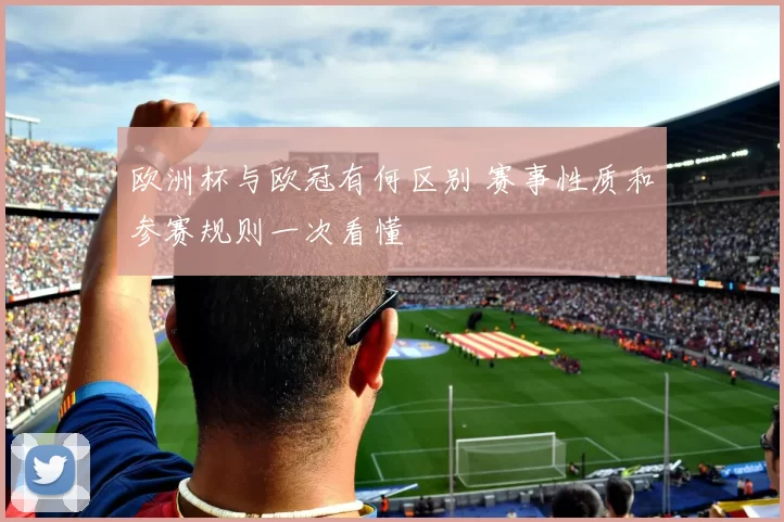 欧洲杯与欧冠有何区别 赛事性质和参赛规则一次看懂