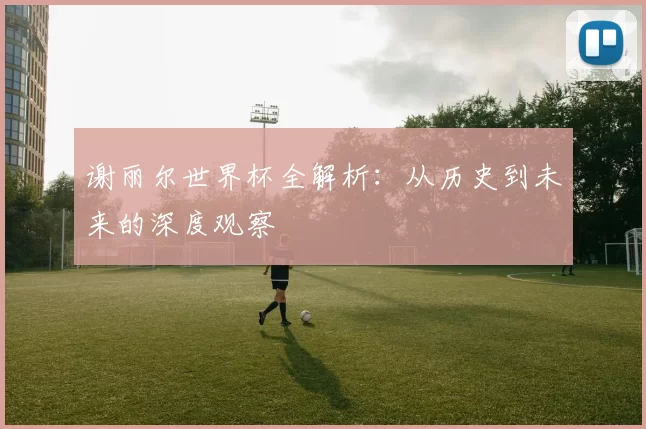 谢丽尔世界杯全解析:从历史到未来的深度观察
