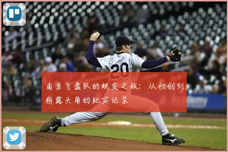 南京飞盘队的蜕变之旅:从初创到崭露头角的纪实记录