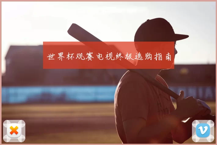 世界杯观赛电视终极选购指南