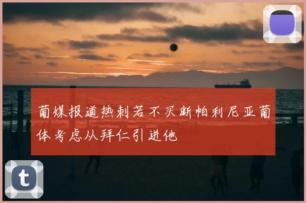 葡媒报道热刺若不买断帕利尼亚葡体考虑从拜仁引进他