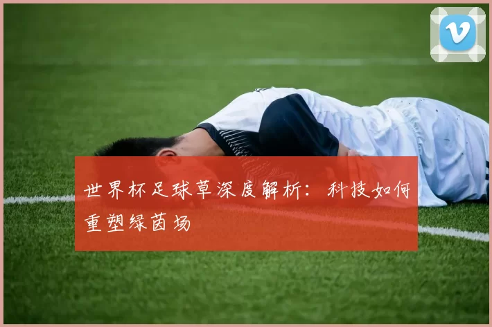 世界杯足球草深度解析：科技如何重塑绿茵场