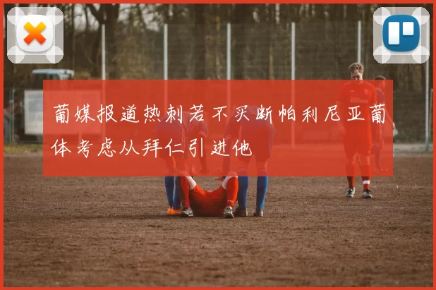 葡媒报道热刺若不买断帕利尼亚葡体考虑从拜仁引进他