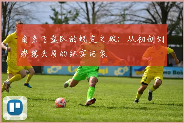 南京飞盘队的蜕变之旅:从初创到崭露头角的纪实记录