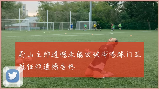蔚山主帅遗憾未能攻破海港球门亚冠征程遗憾告终