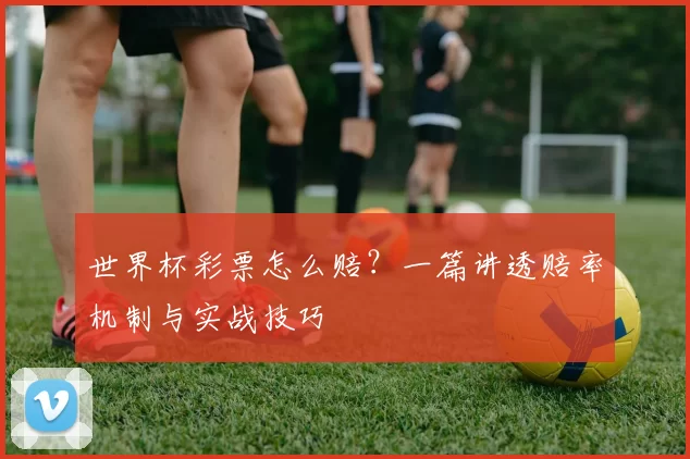 世界杯彩票怎么赔?一篇讲透赔率机制与实战技巧