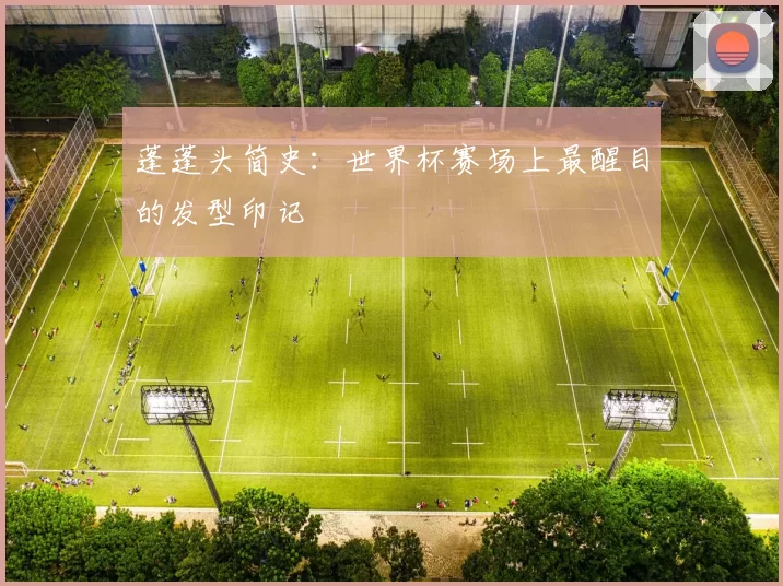 蓬蓬头简史:世界杯赛场上最醒目的发型印记