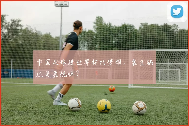 中国足球进世界杯的梦想,靠金钱还是靠规律?