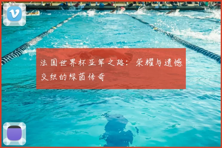 法国世界杯亚军之路:荣耀与遗憾交织的绿茵传奇