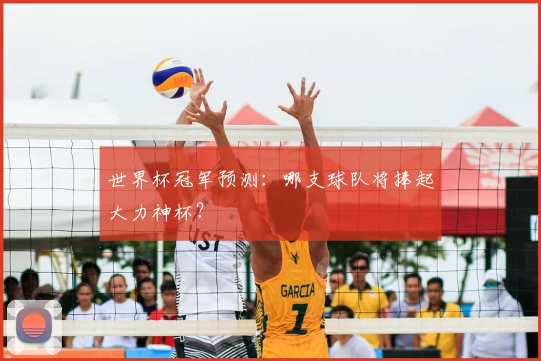 世界杯冠军预测:哪支球队将捧起大力神杯?