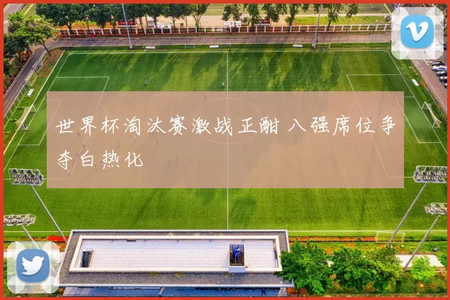 世界杯淘汰赛激战正酣 八强席位争夺白热化